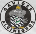 /album/gavi%c3%b5es-alvinegros-%5btoga%5d/bandeira-toga-inedita-jpg/